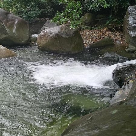 Mi Rincon En La Montana. Vila La Ceiba Exterior foto