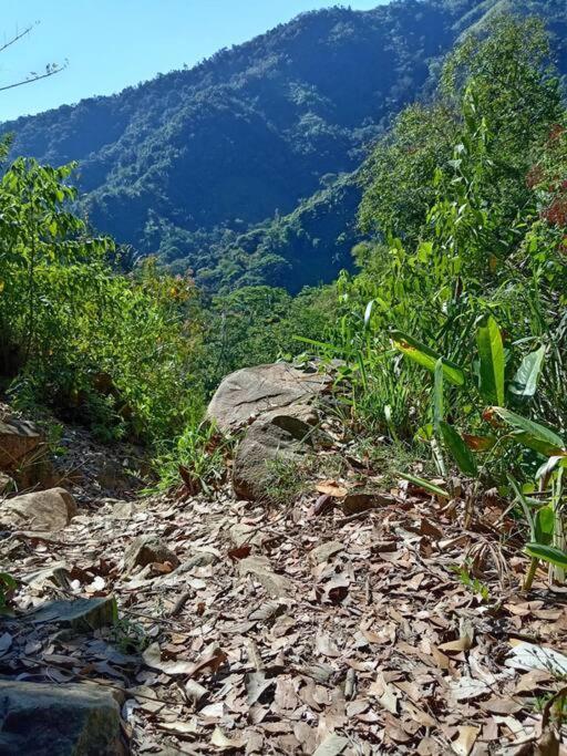 Mi Rincon En La Montana. Vila La Ceiba Exterior foto