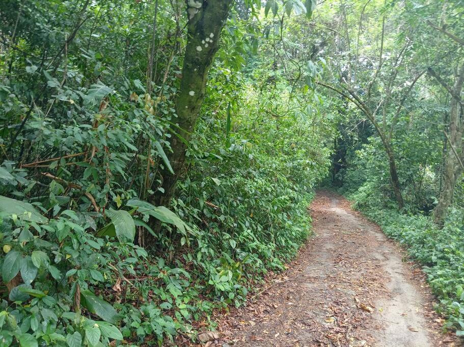 Mi Rincon En La Montana. Vila La Ceiba Exterior foto