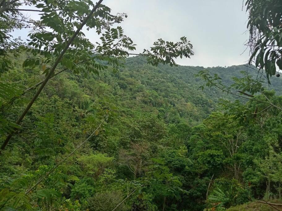 Mi Rincon En La Montana. Vila La Ceiba Exterior foto