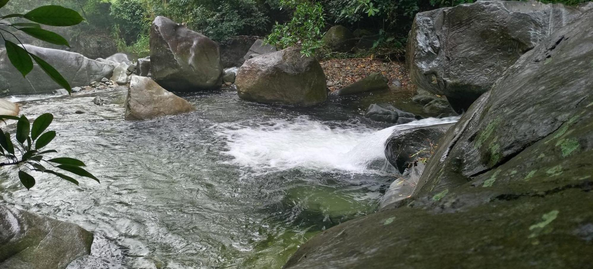 Mi Rincon En La Montana. Vila La Ceiba Exterior foto