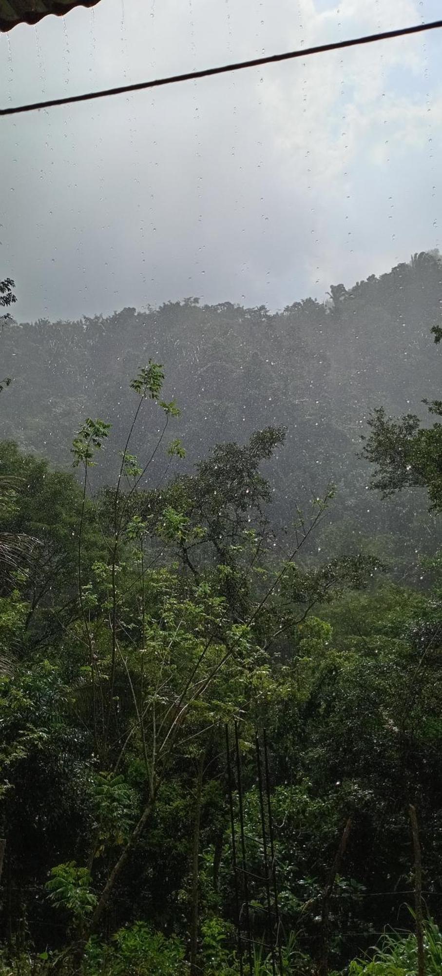 Mi Rincon En La Montana. Vila La Ceiba Quarto foto